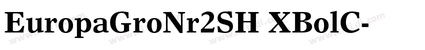EuropaGroNr2SH XBolC字体转换